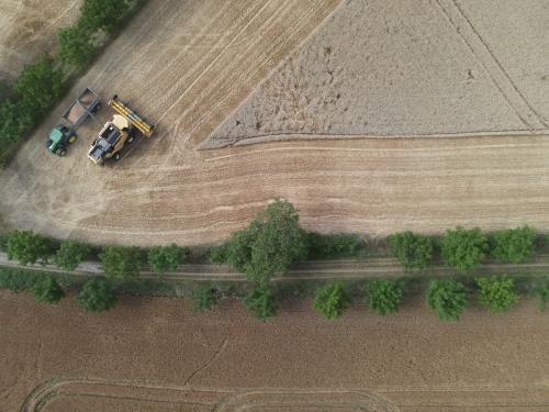DJI_3626.JPG